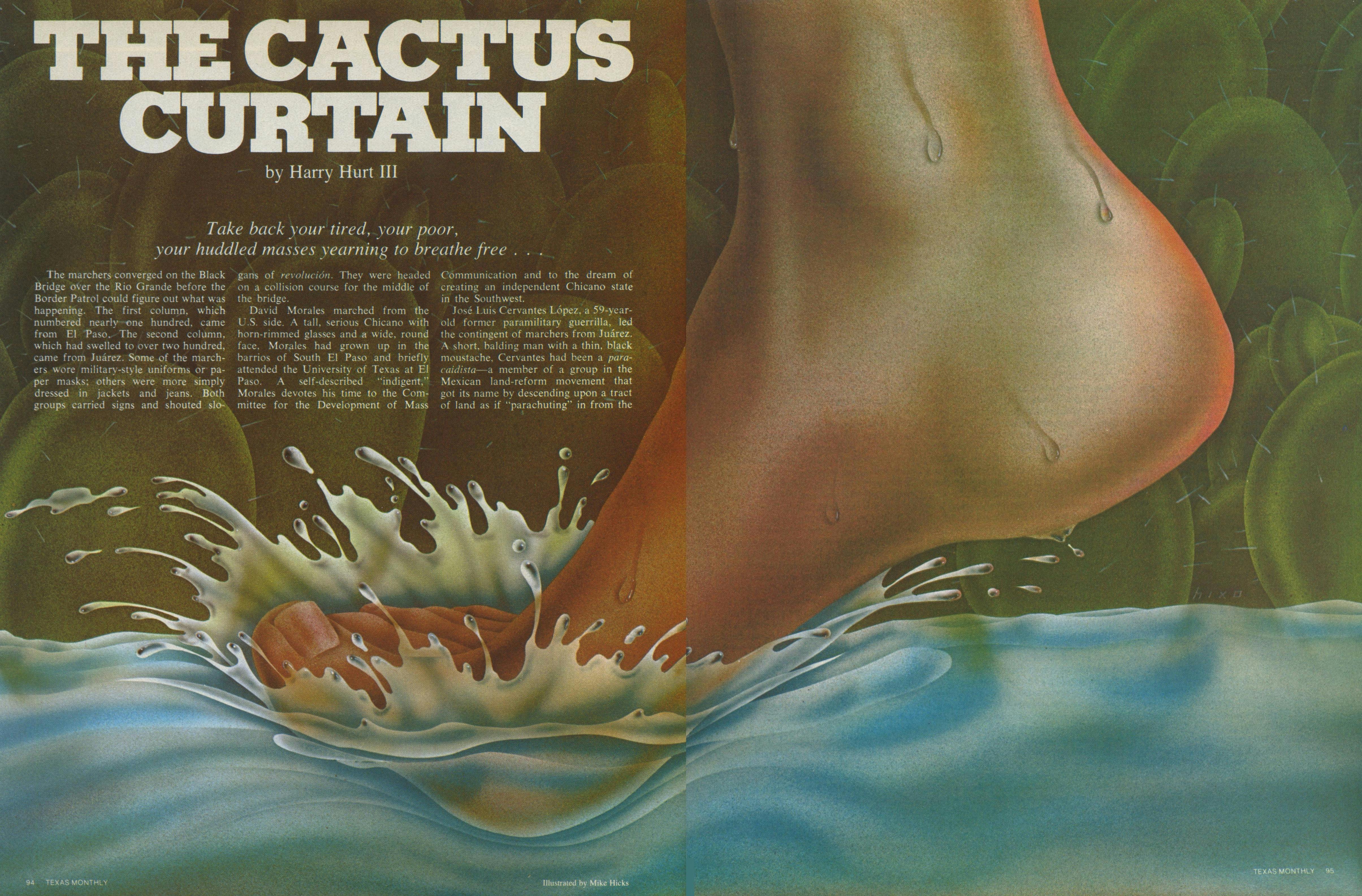 Cactus Curtain