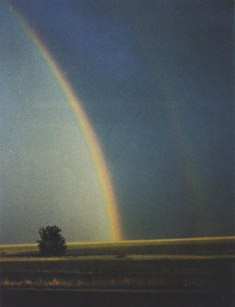 Kent McGaughey, Houston "Certain subjects, like this double rainbow, have an instinctive appeal. The colors and textures are wonderful, as is the composition. The photographer treated the subject simply and well."