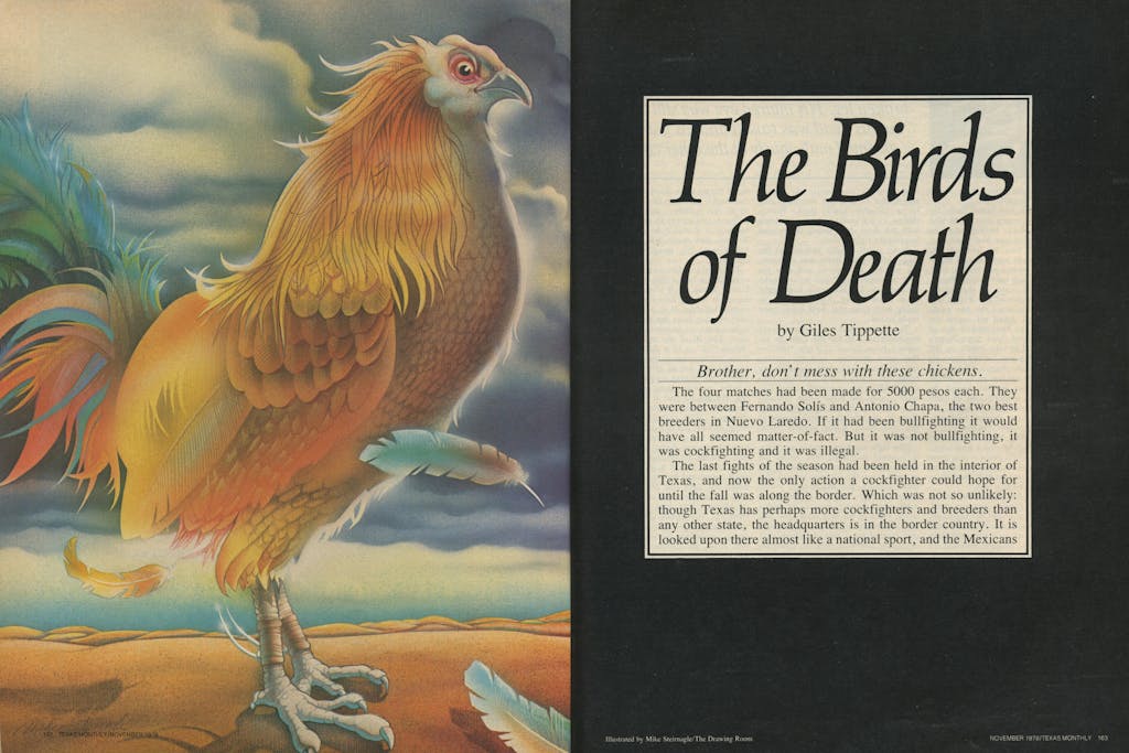 Birds of Death