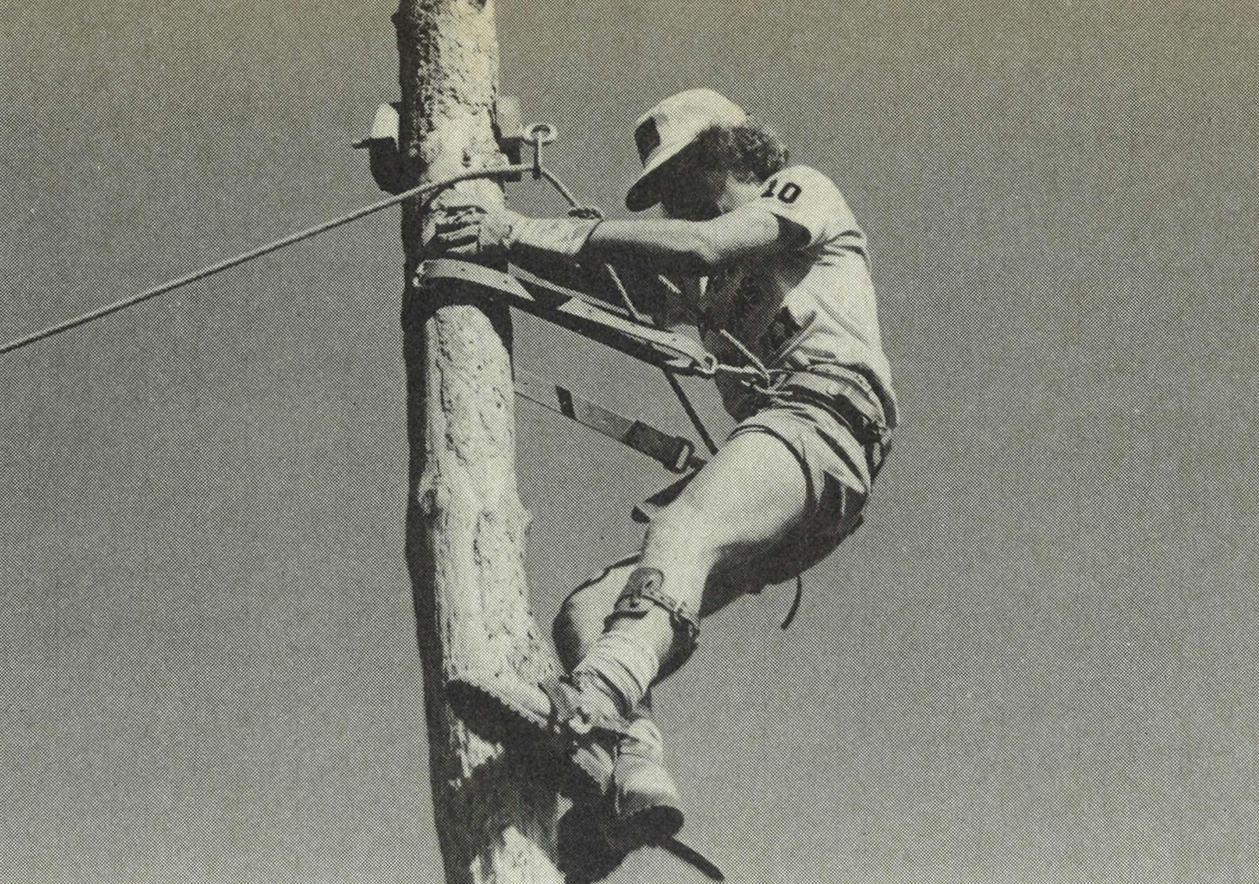 Boy scout climbing a tree. 