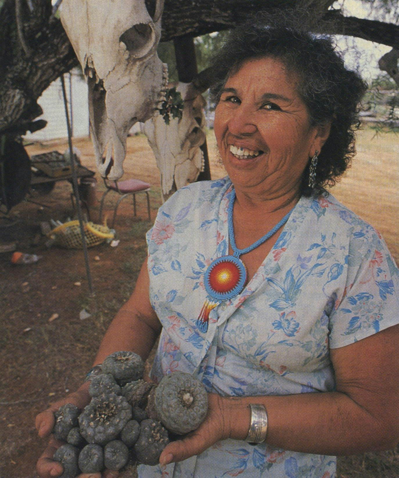 Isabel Lopez's heaping handful of peyote is but a small sample of the hundreds of thousands bought by Indians each year.