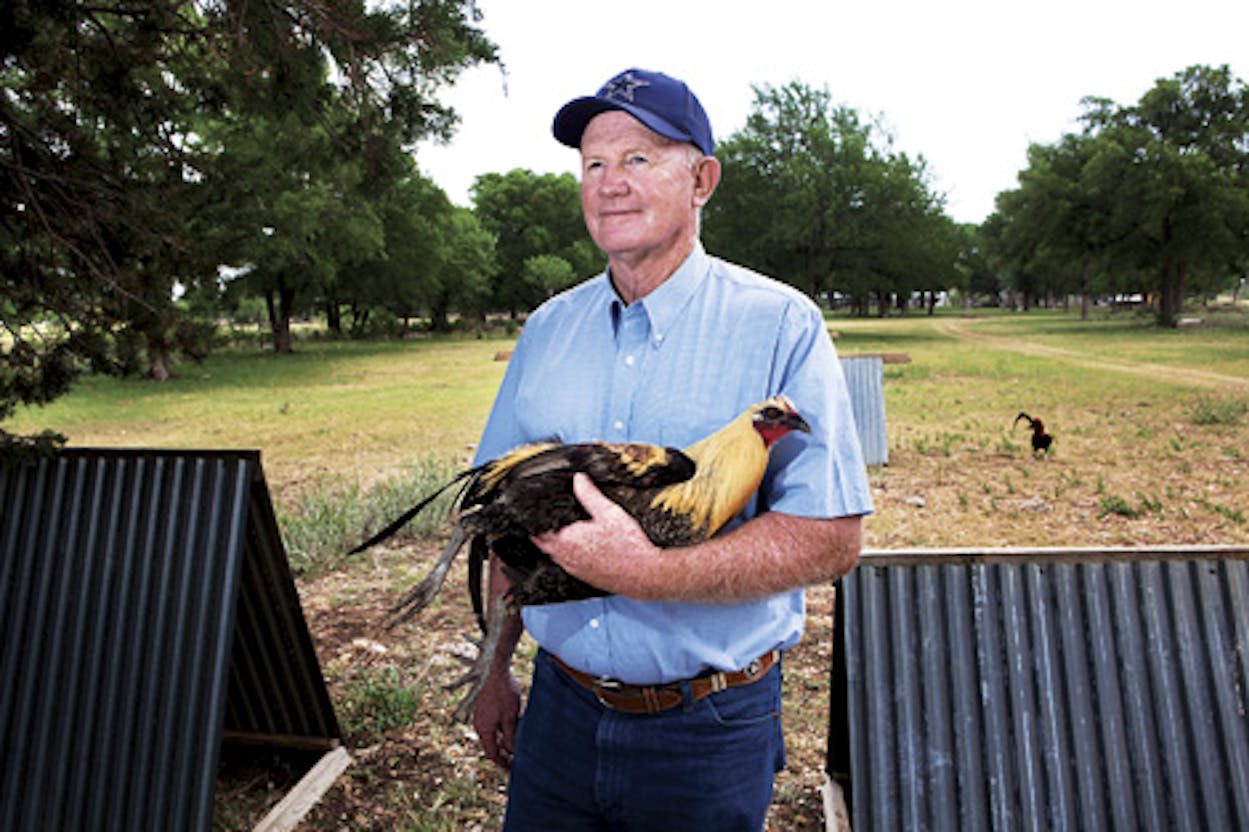 Bobby Jones, with a game fowl chicken, raised for cockfightin.