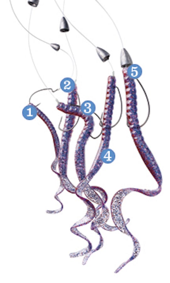 How to Tie a Texas Rig – Texas Monthly