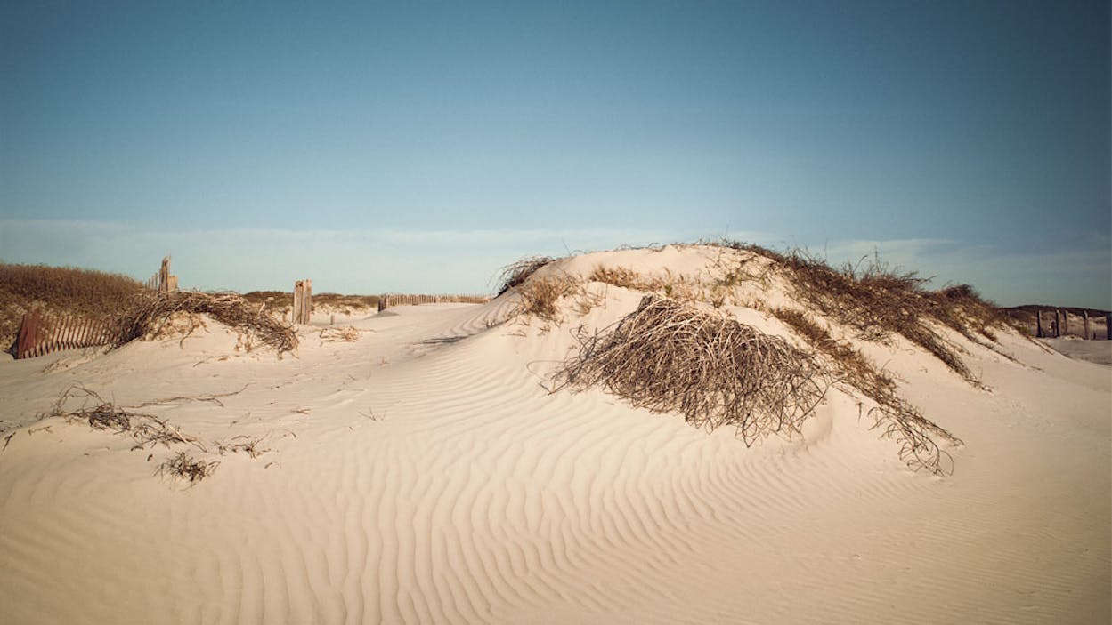 Sand dunes at Boca Chica beach.