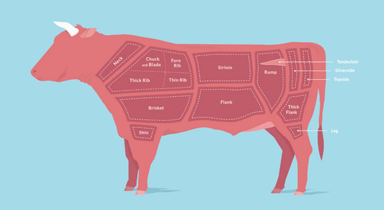 Clip art of the anatomy of a cow for BBQ cuts.