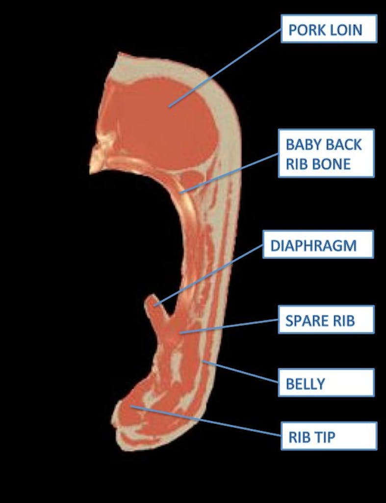Pork rib diagram