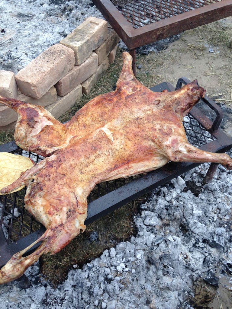 Cooked cabrito roasting with tortillas over coals. 
