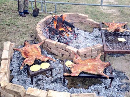 Three cabritos cooking in a fire pit alongside a fire. 