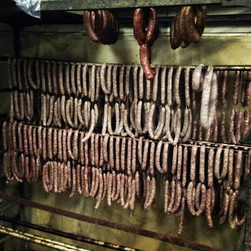 Rows of sausage hanging to dry. 