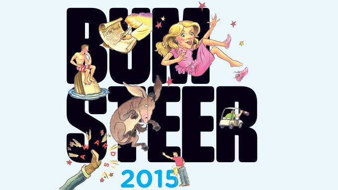 Bum Steers 2015 image