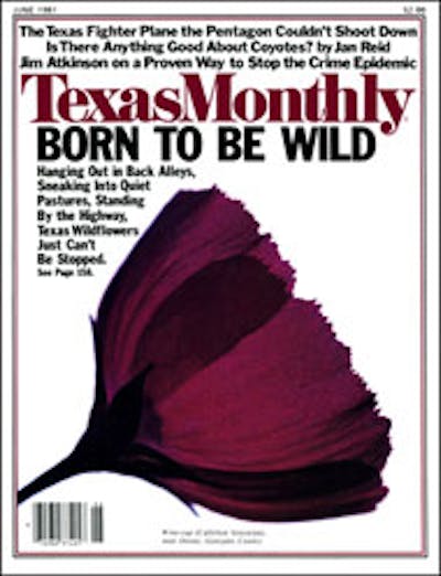June 1981 Issue Cover