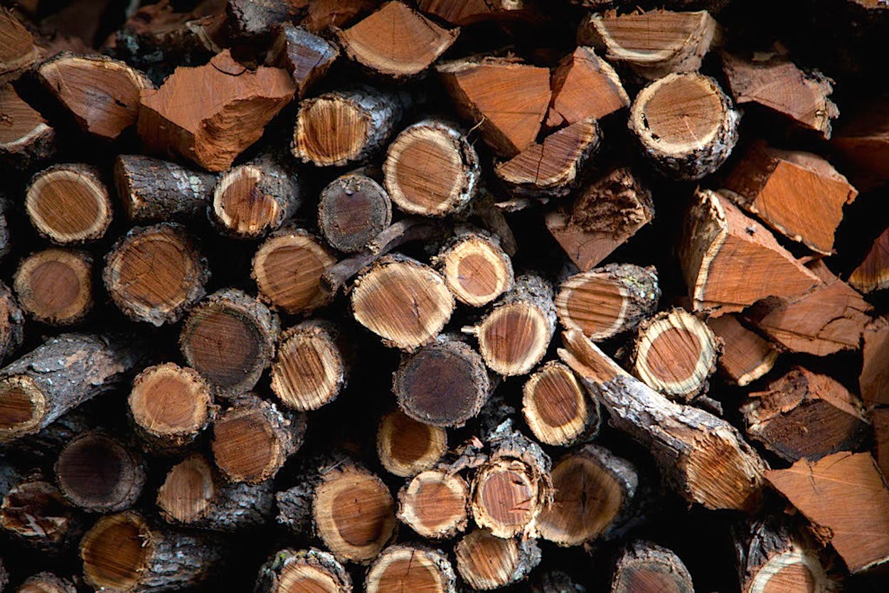 Stack of cut logs.