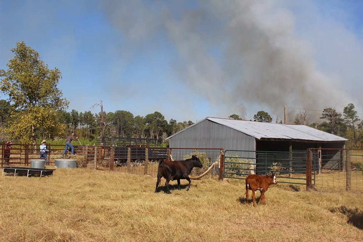Bastrop County fire