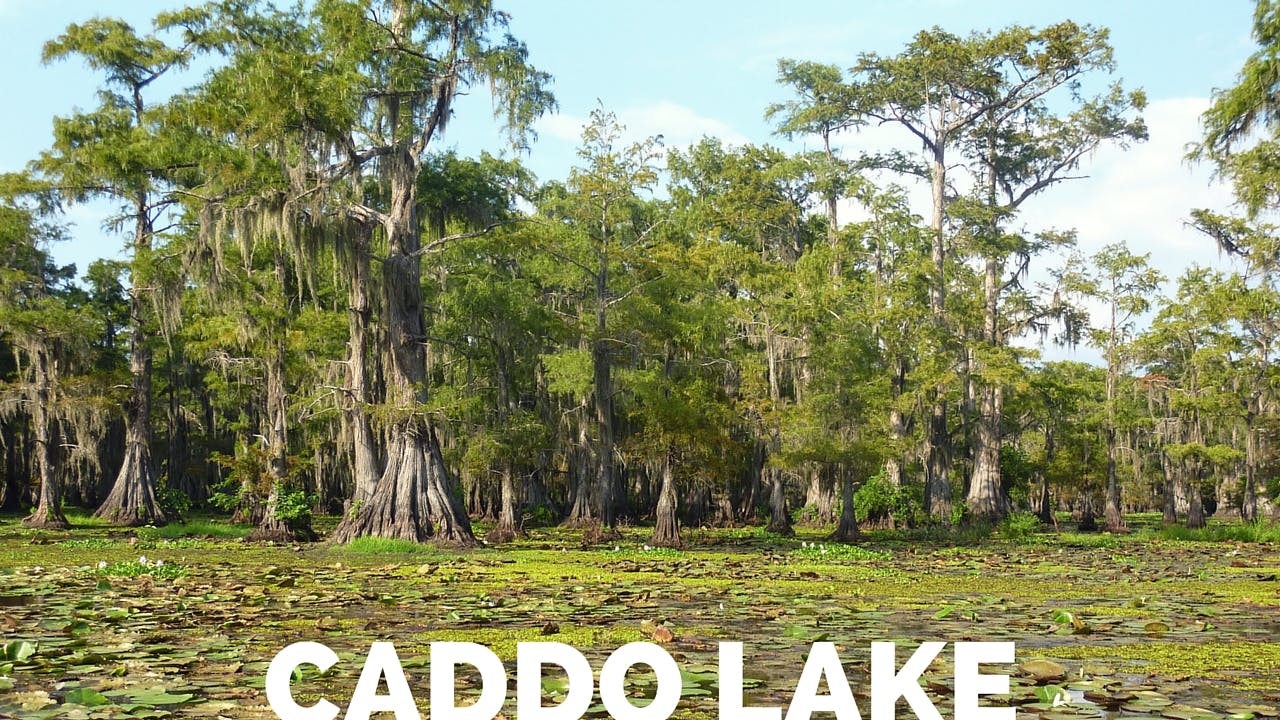Caddo Lake Texas Outdoors Adventures