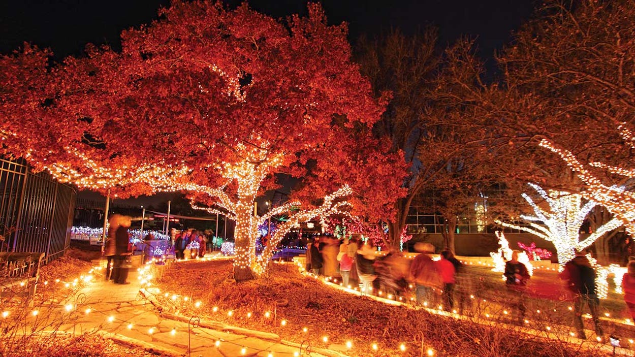 Christmas Garden of Lights, Amarillo