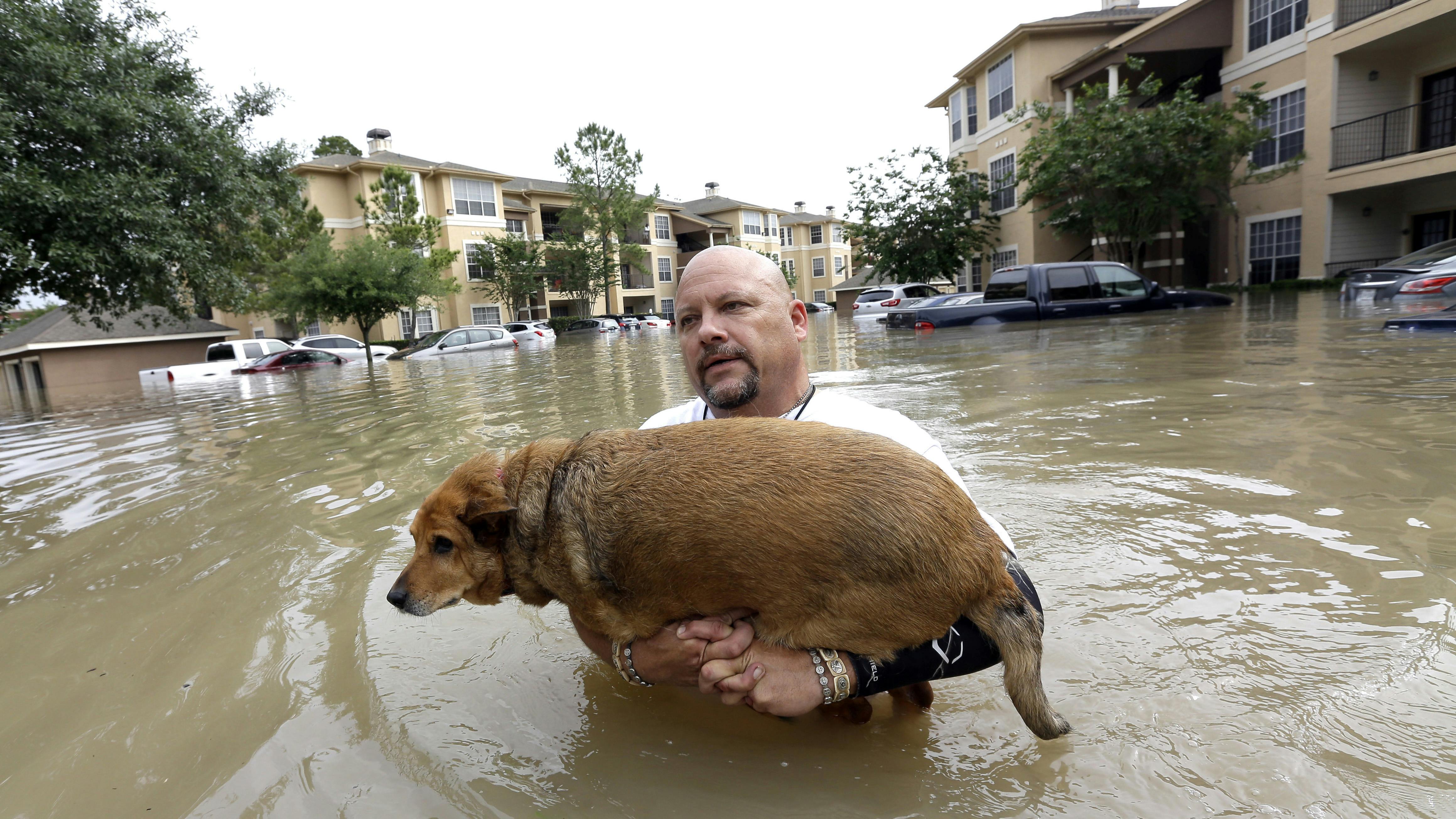 Louis Marquez carries his dog Chocolate through floodwaters after rescuing the dog from his flooded apartment Tuesday, April 19, 2016, in Houston. Storms have dumped more than a foot of rain in the Houston area, flooding dozens of neighborhoods. 