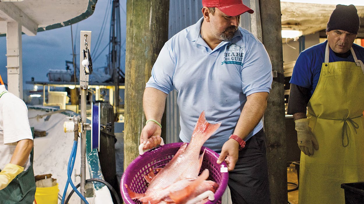 The Battle Over Gulf Red Snapper