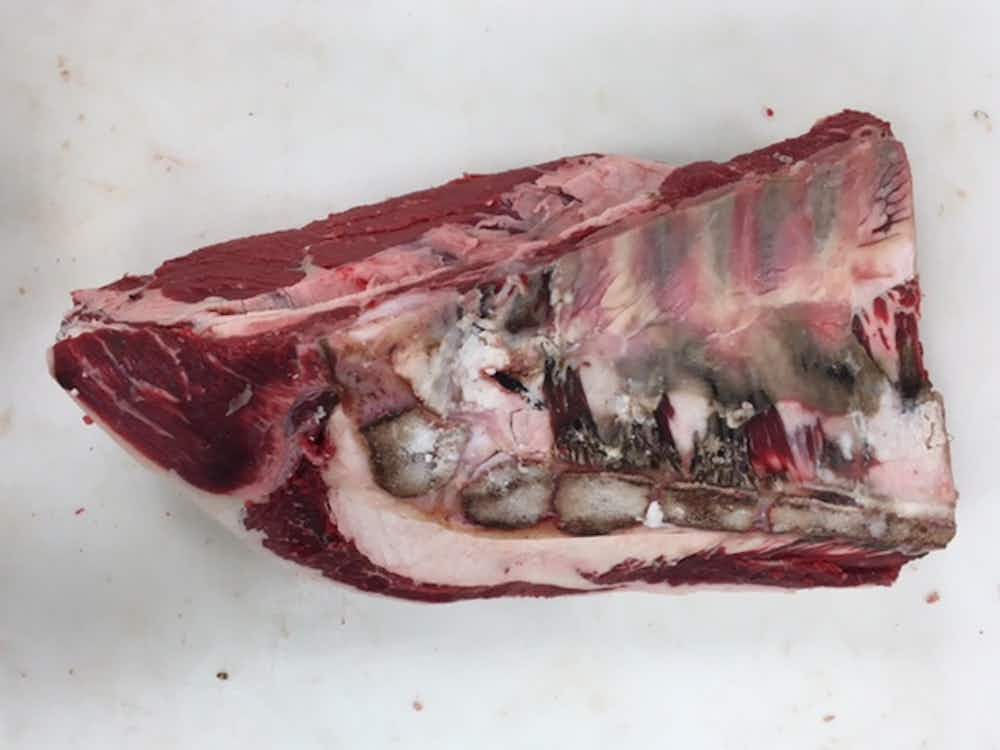 BBQ Anatomy 101: Bone-In Brisket – Texas Monthly