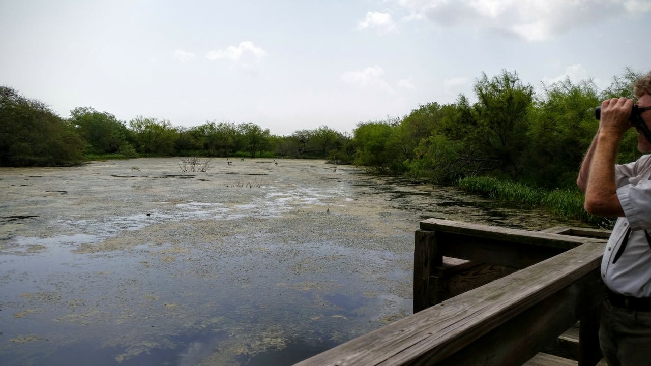 San Benito–based birding guide Michael Marsden looks out over Gator Pond at Laguna Atascosa Wildlife Refuge.