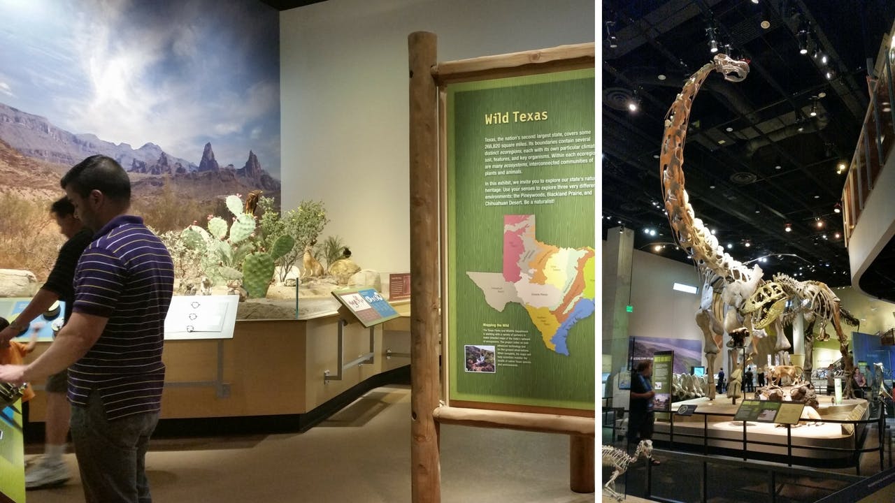 Exhibits at the Perot Museum of Nature and Science, in Dallas.