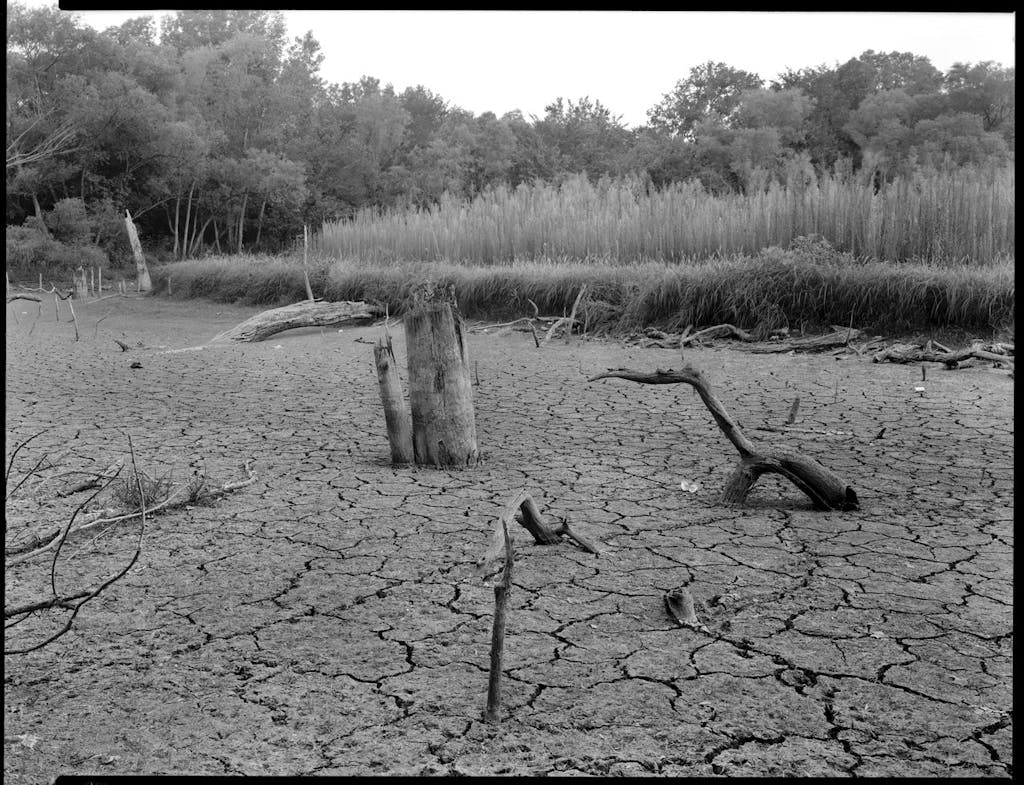 Flood at Lake Weatherford. Photograph by Byrd William IV, 1981.