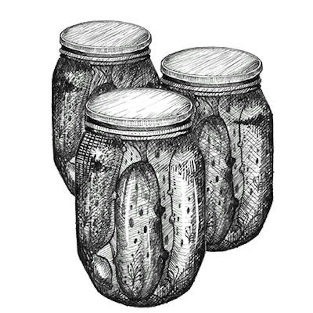 Fig. 2 — Pickling There are two general kinds of pickling: The first uses vinegar (think cucumbers, okra, jalapeños). The second involves a brine solution and fermentation (think sauerkraut). Refrigeration is recommended.