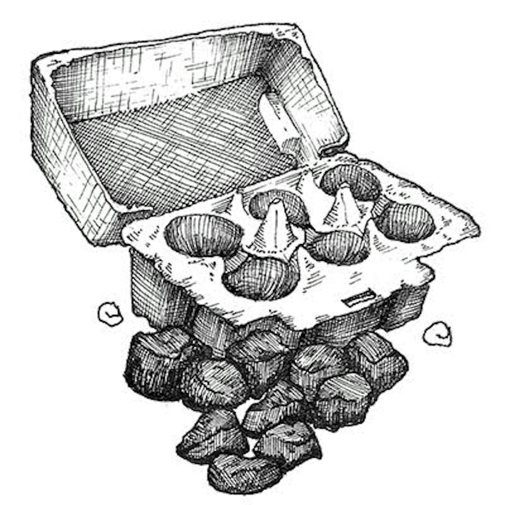 Fig. 3 — Egg Carton Pieces An urbanite's version of kindling. Sprinkle a broken-up cardboard egg carton with cooking oil, place the pieces among the charcoals, and light with a match. You may need to blow a bit to get the flames going.