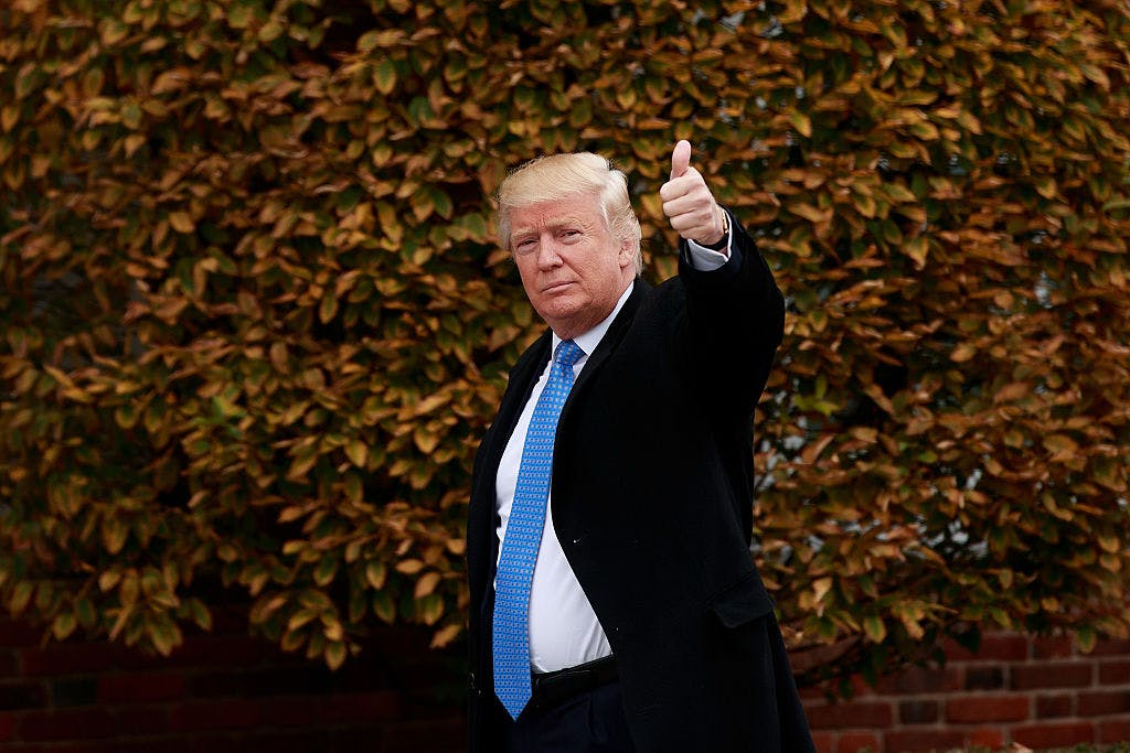 President-elect Donald Trump waves as he arrives at Trump International Golf Club for a day of meetings, November 20, 2016 in Bedminster Township, New Jersey. 