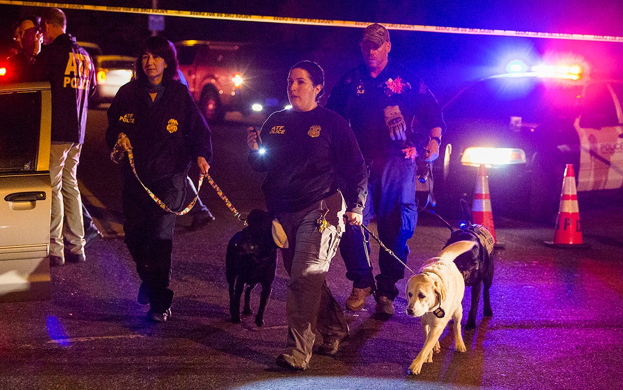 Police dogs and their handlers deploy at the scene of an explosion in southwest Austin, Sunday, March 18, 2018. Injuries were reported in the explosion, this one coming after three package bombs detonated earlier in the month in other areas of the city, killing two people and injuring two others.