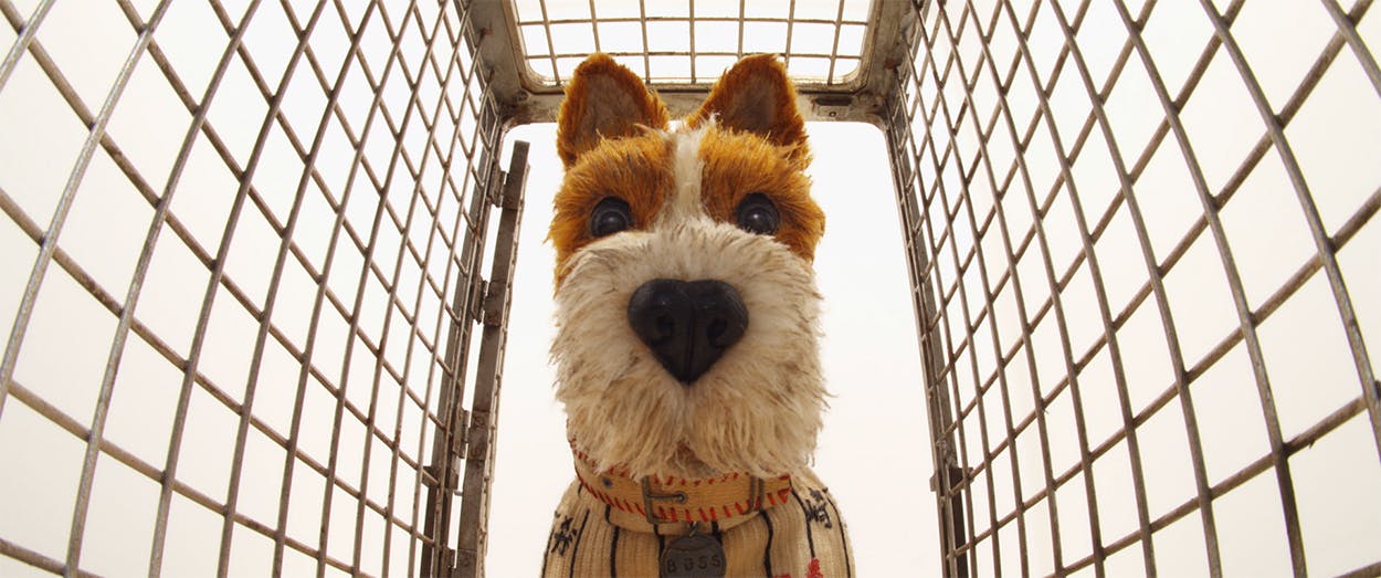 Boss’s character is voiced by Bill Murray in 'Isle of Dogs.'