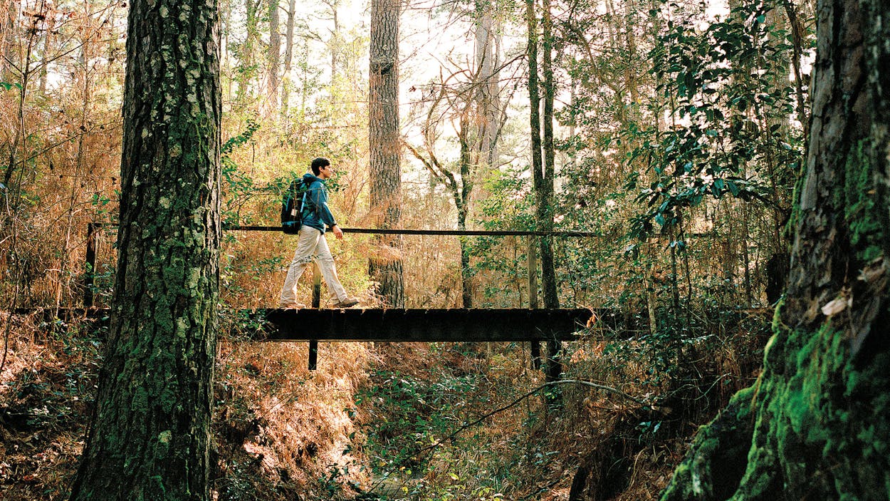 Rotere Bevise Stikke ud East Texas Hikes That Will Take You to Another World – Texas Monthly