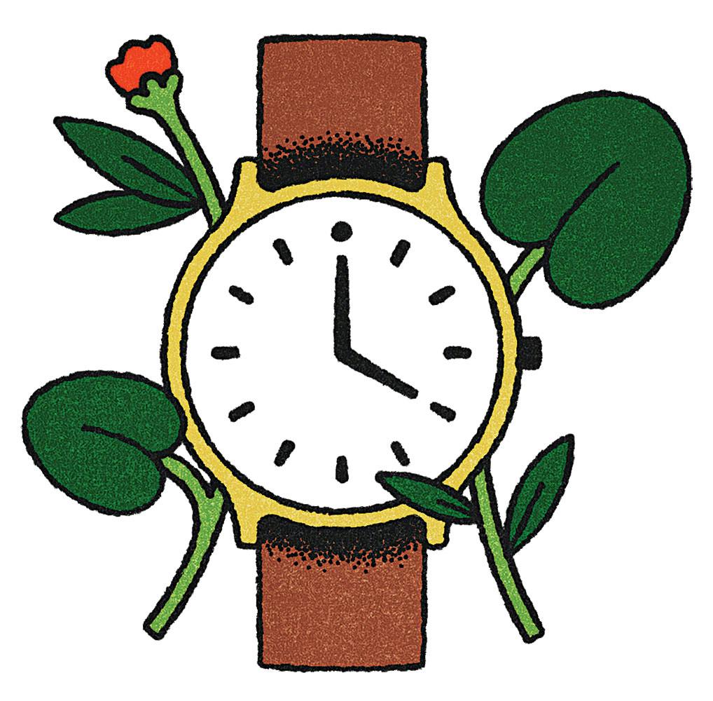 Graphic of a watch with flowers behind its face. 