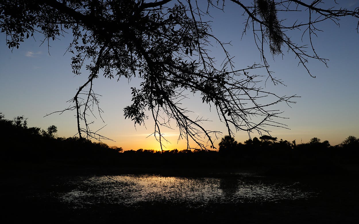 The sun sets over the Santa Ana National Wildlife Refuge, home to 400-plus species of birds and several endangered wildcats, in Alamo, Texas.