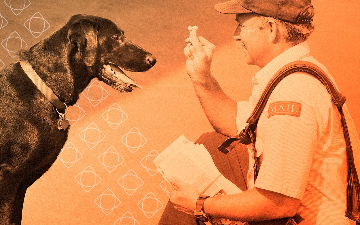 Post Office mailman with a friendly dog