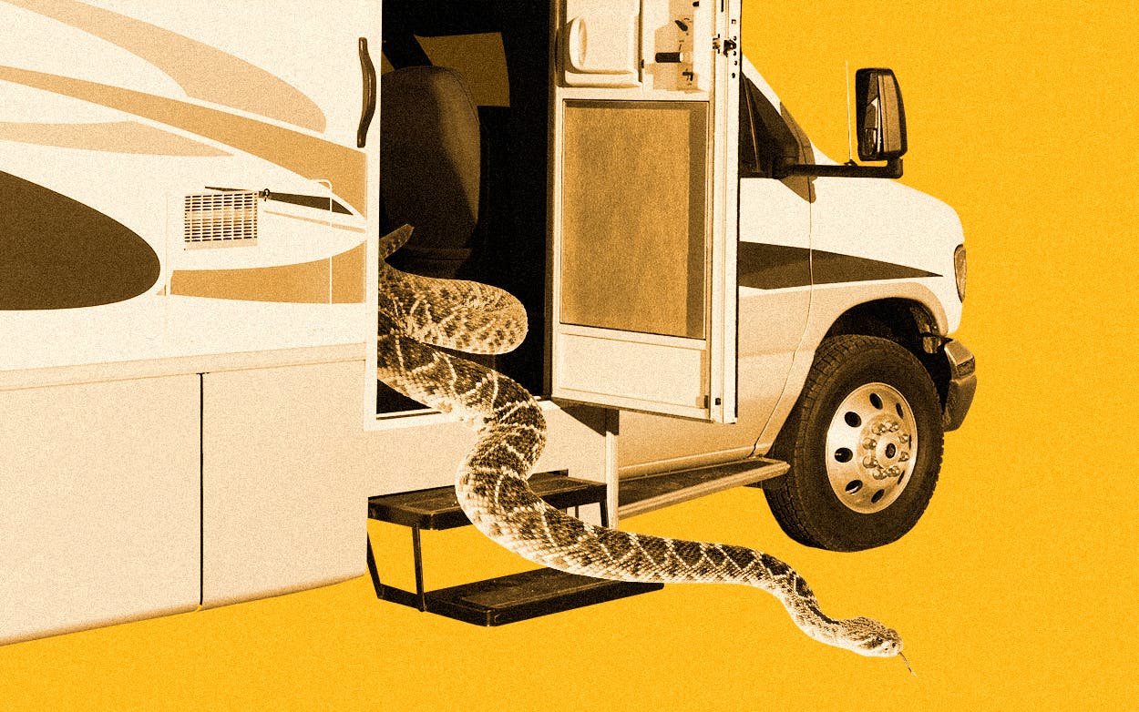 Rattlesnake coming out of an RV