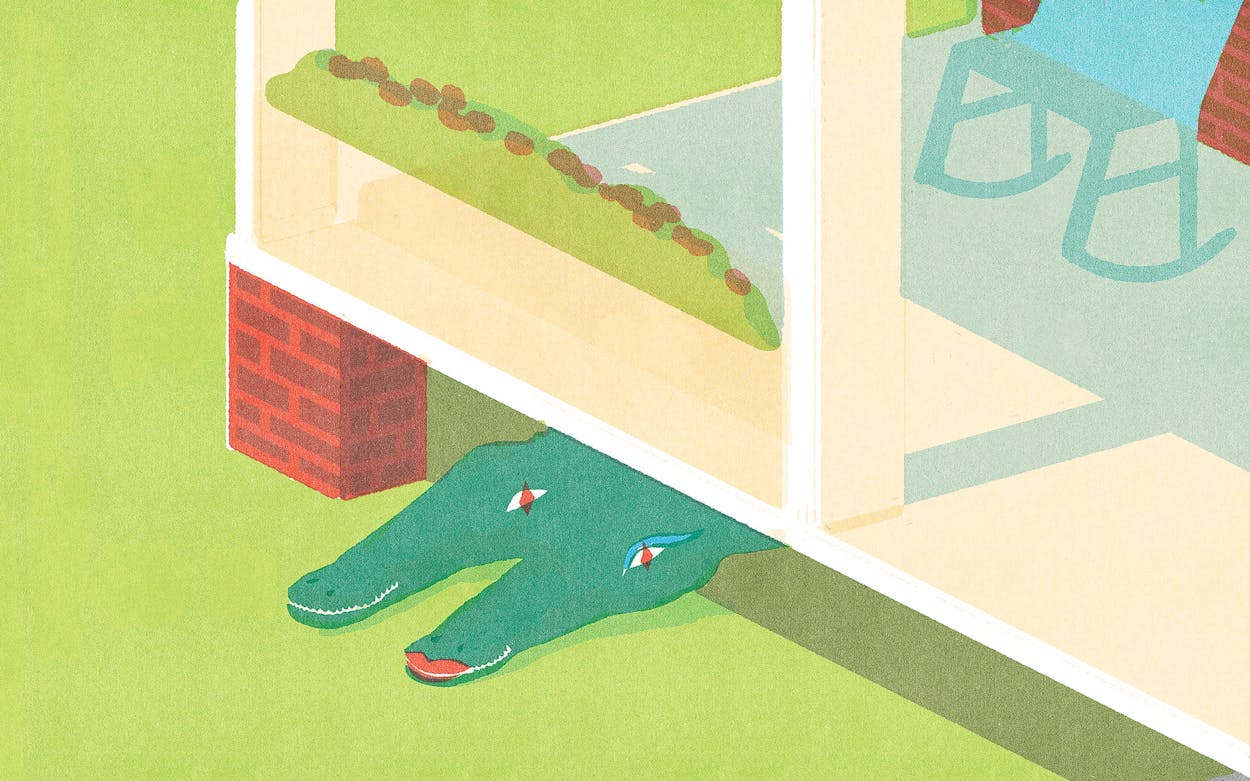 an illustration of two alligators in love under a house