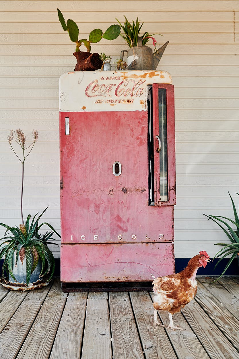 An old soda dispensing machine at Pink Tractor Farms