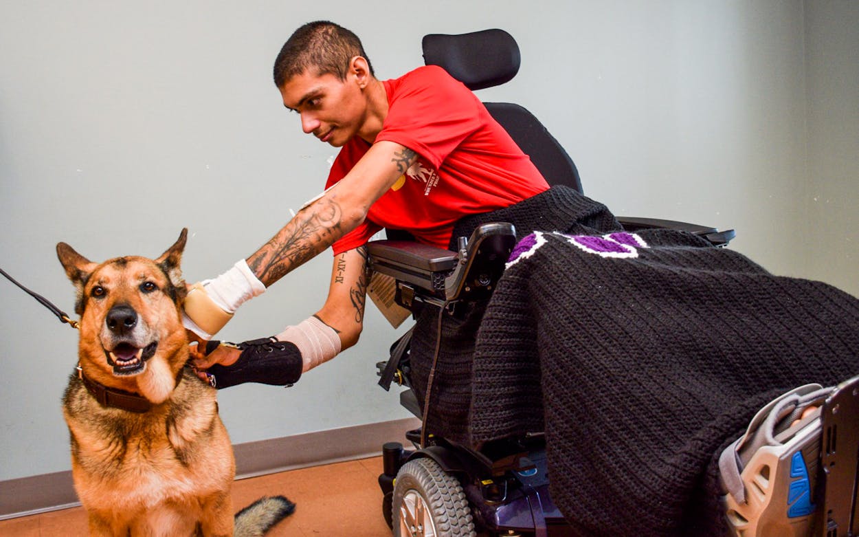 Army Spec. Alec Alcoser pins the Purple Heart on a bomb-sniffer dog named Alex