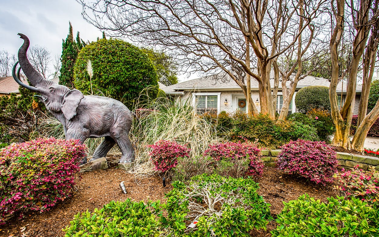 A bronze elephant statue adorns the front yard of a house on Mockingbird Lane in Dallas.
