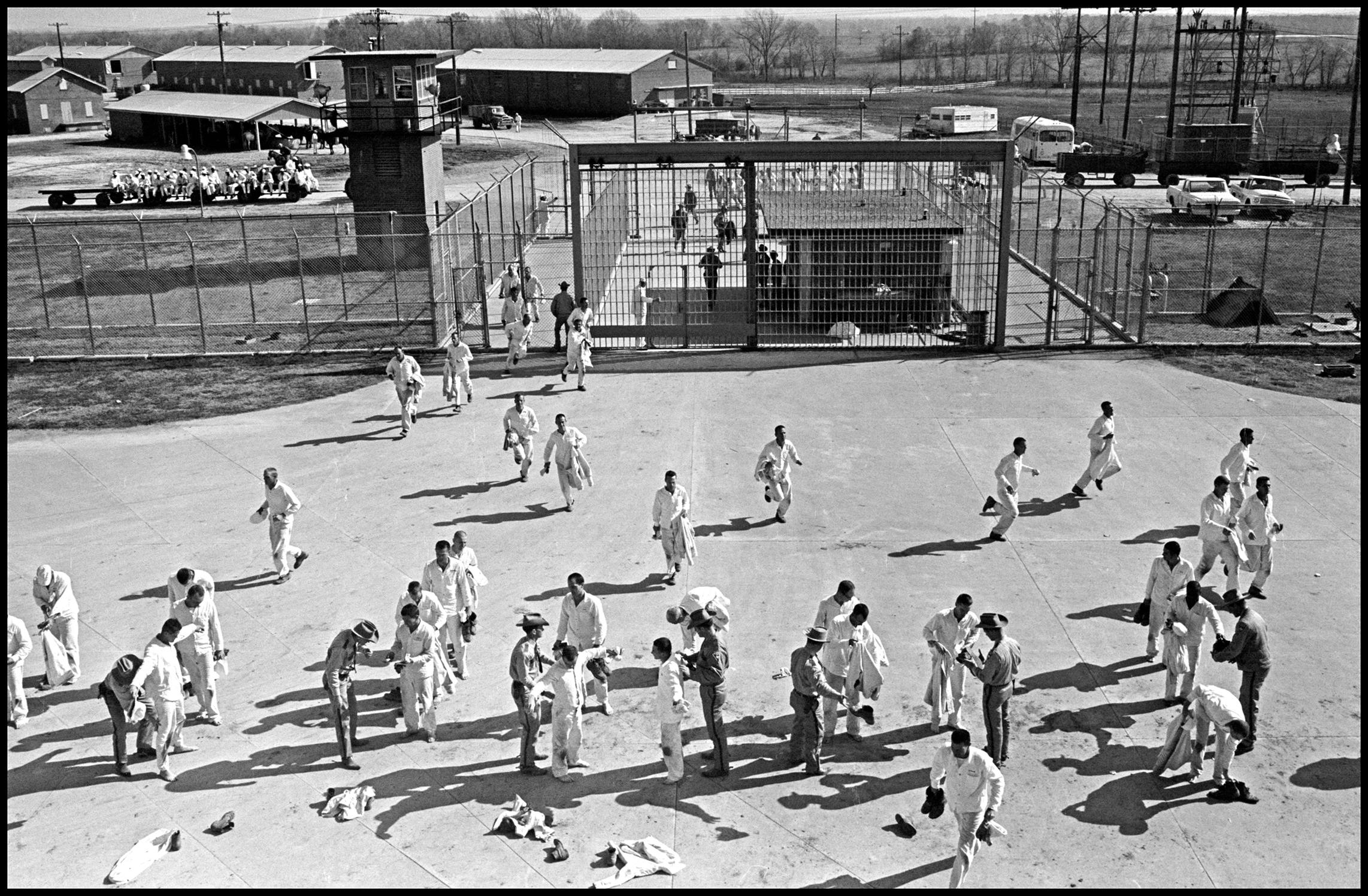 Ellis prisoners returning from the fields and receiving a shakedown. 