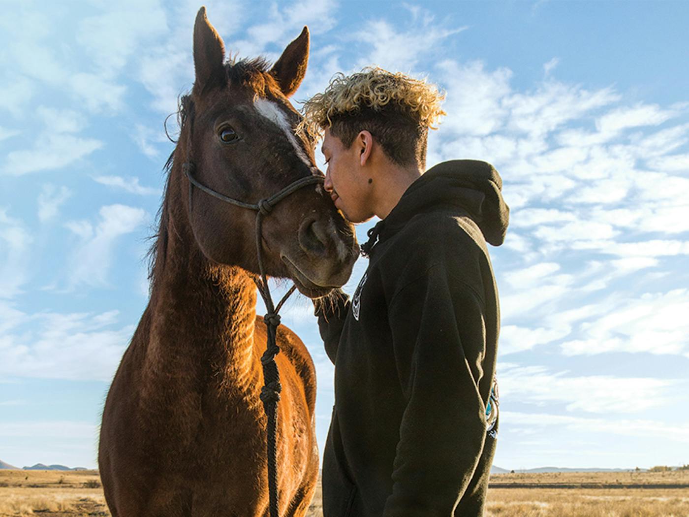 How Animal Psychics Helped Untangle a Mixed-up Horse – Texas Monthly