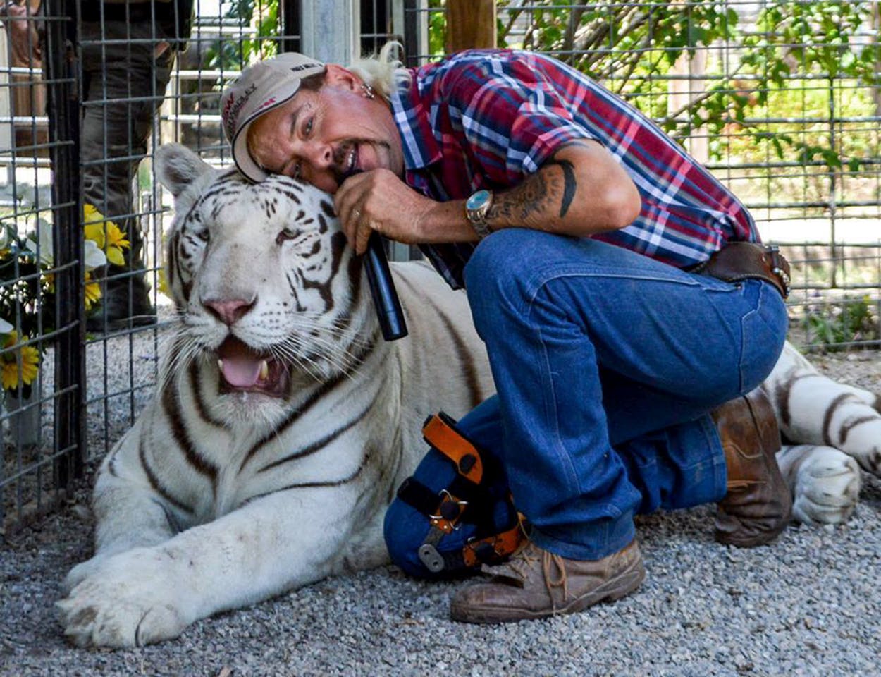 Joe Exotic tiger king and one of his tigers. 
