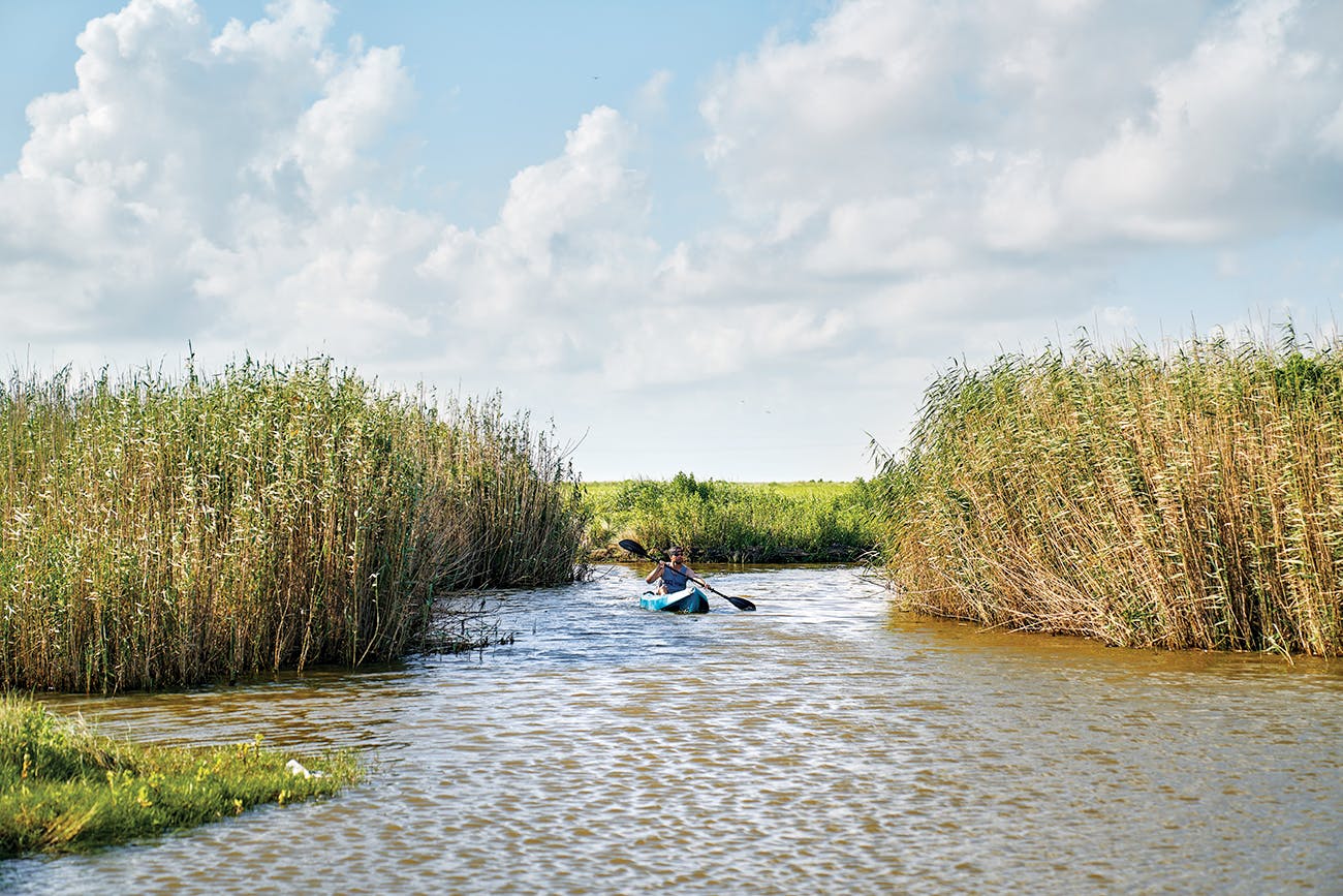 Blake Cliett, of Groves, kayaks through the marsh.