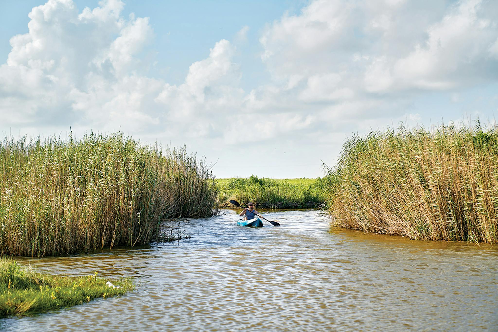 Sea Rim Tx Sea Rim State Park's Fragile Magic – Texas Monthly
