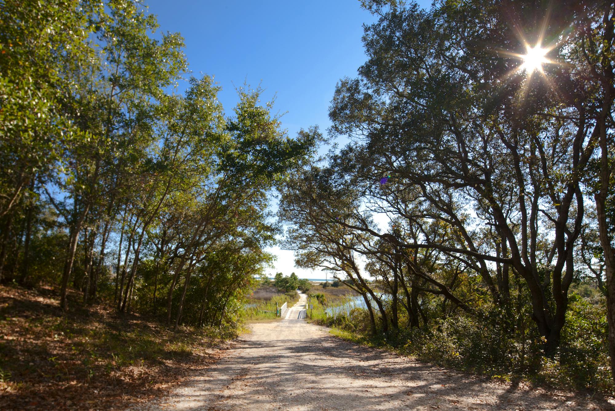 Camp Helen State Park - Texas Monthly