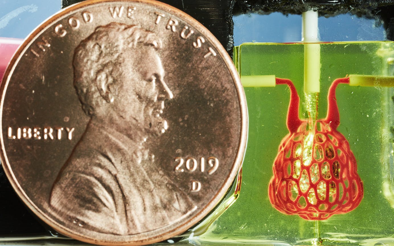 Jordan-Miller-3D-printing-organs-penny