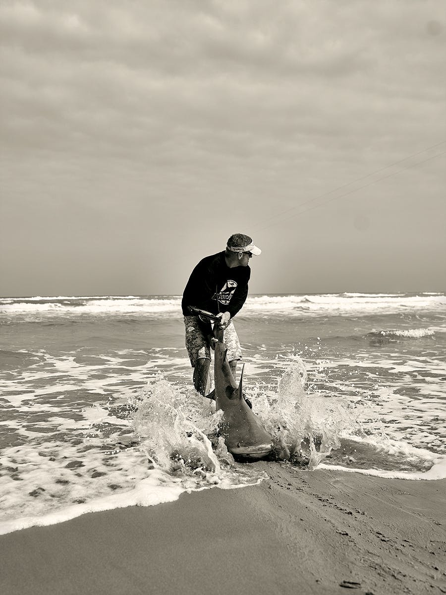 Man dragging a bull shark back into the ocean. 