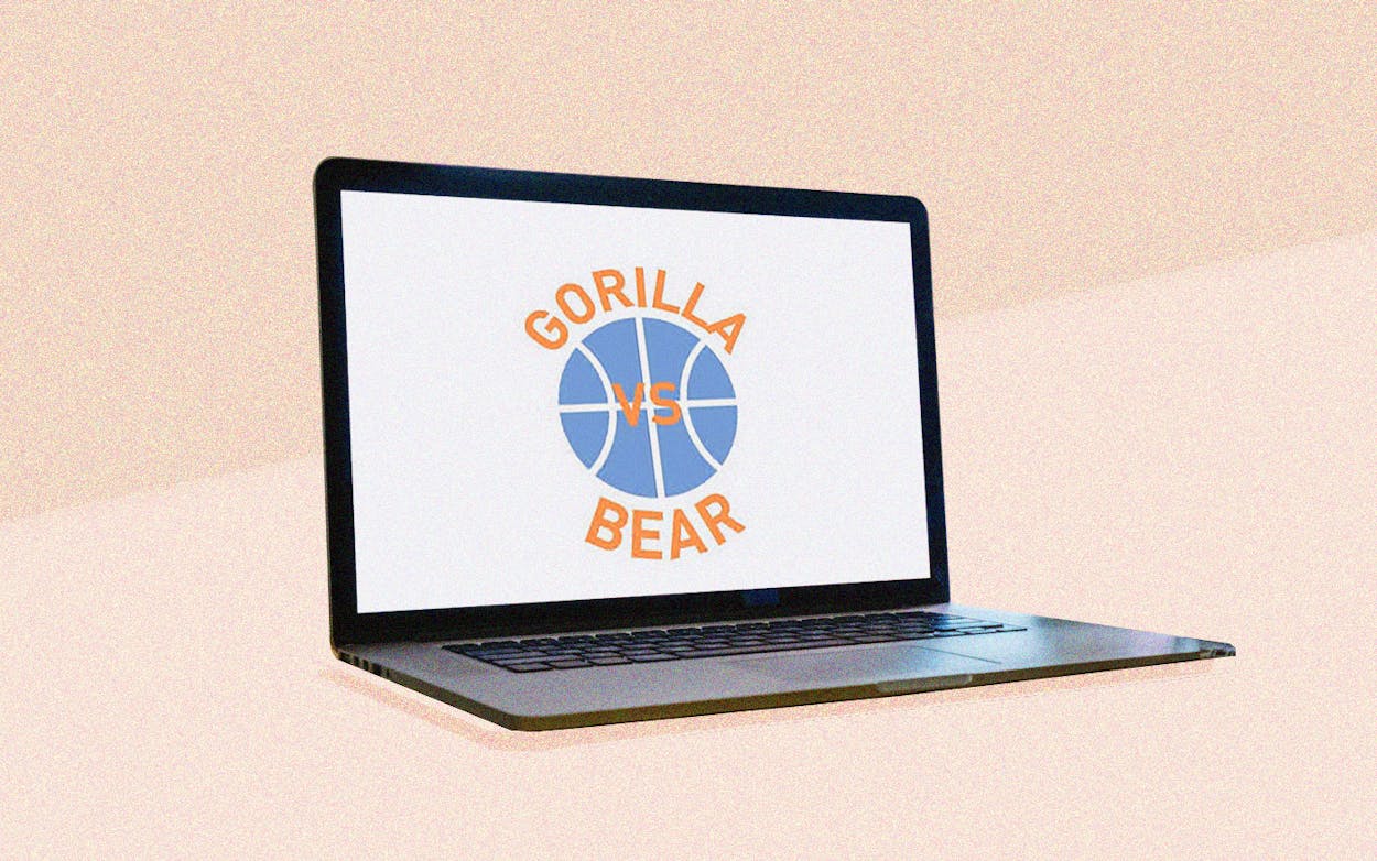 gorilla-vs-bear-website-blog