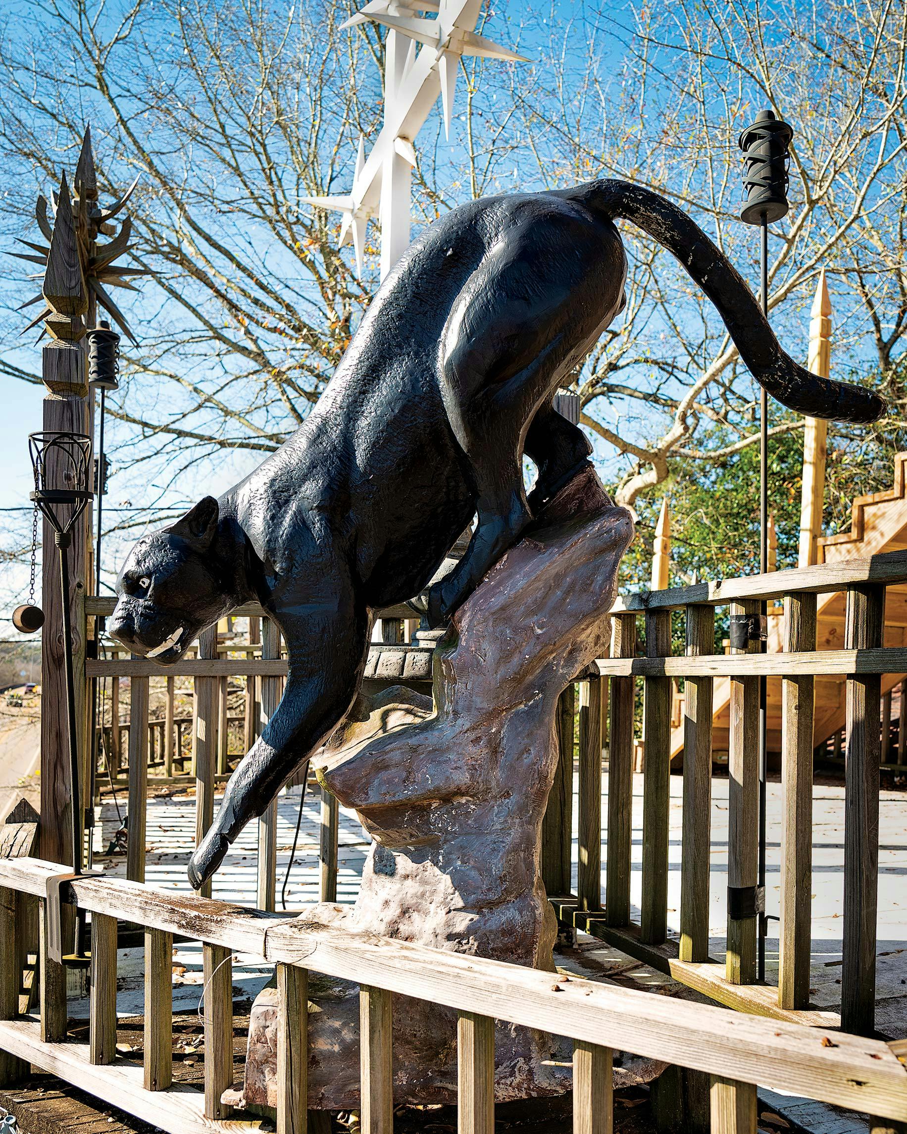 A panther perched on the deck.
