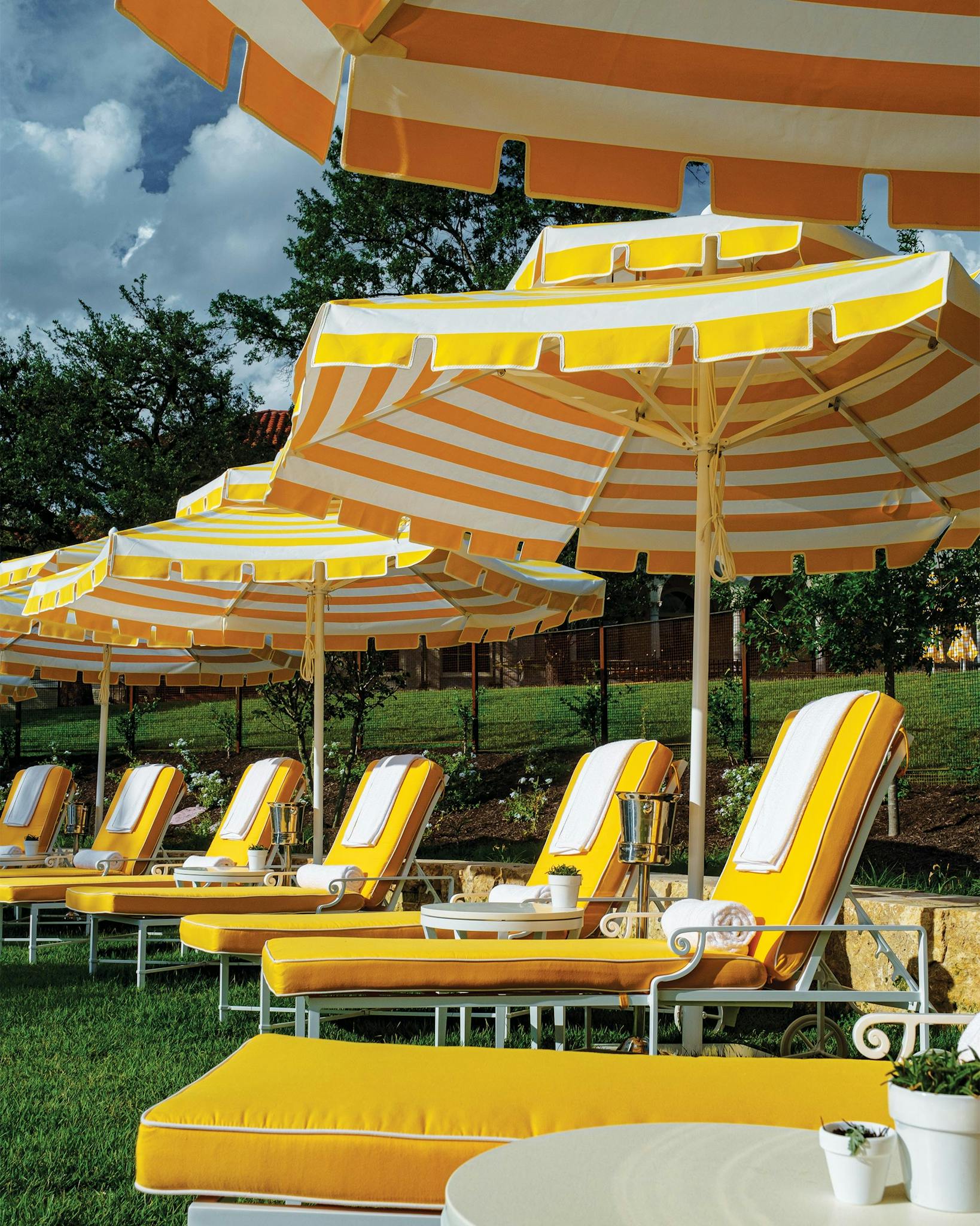 The yellow sun chairs and umbrellas by the pool of the Commodore Perry.